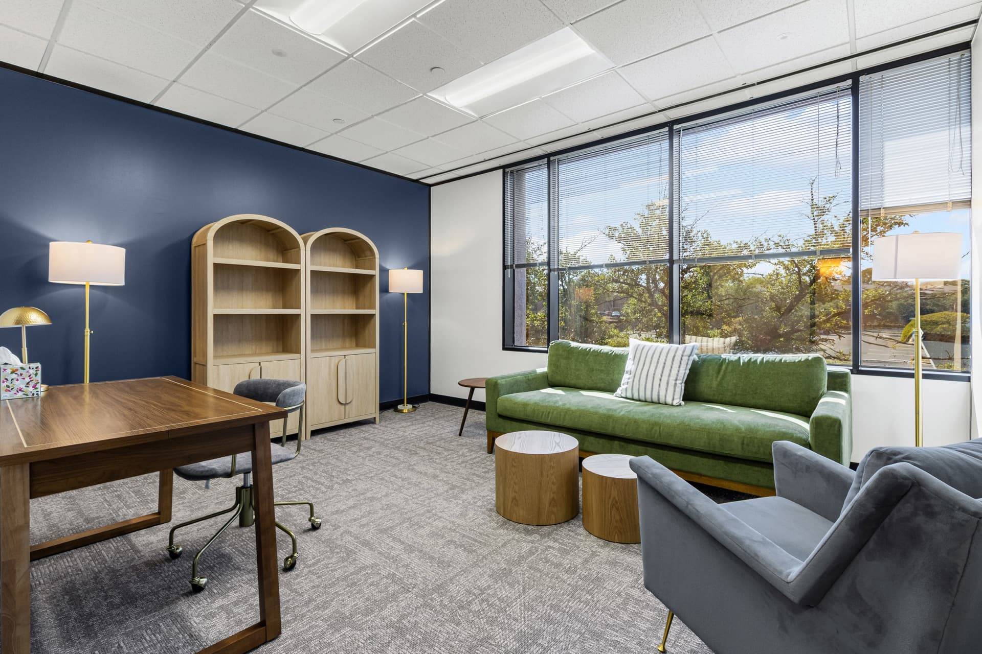 Therapy Space office with city view